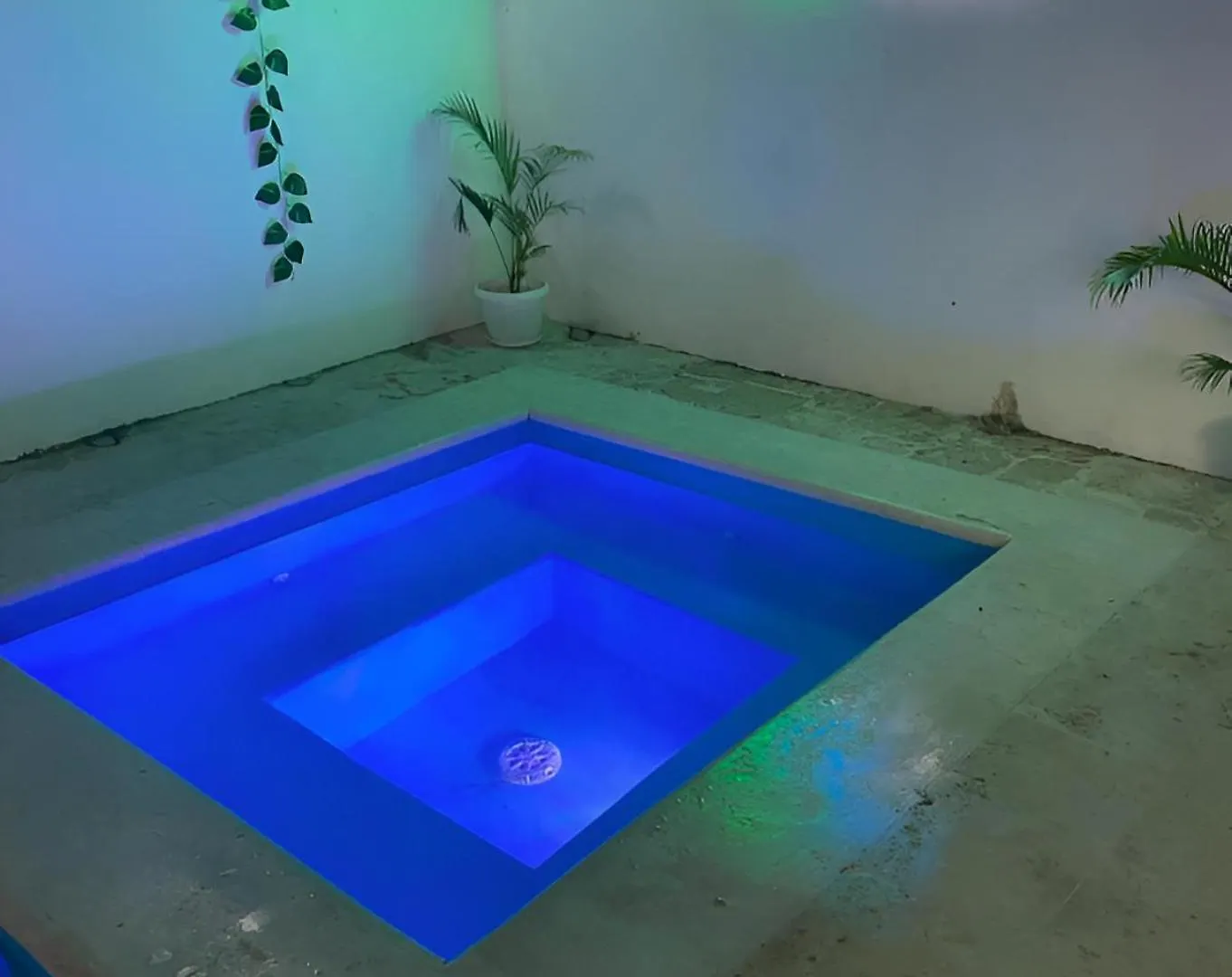 Villa Dmm Con Piscina, Jacuzzi Y Gran Area Verde En Punta Cana 0*,