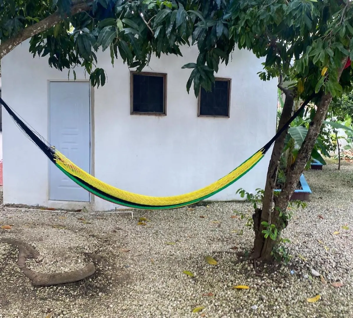 Villa Dmm Con Piscina, Jacuzzi Y Gran Area Verde En Punta Cana Dominican Republic