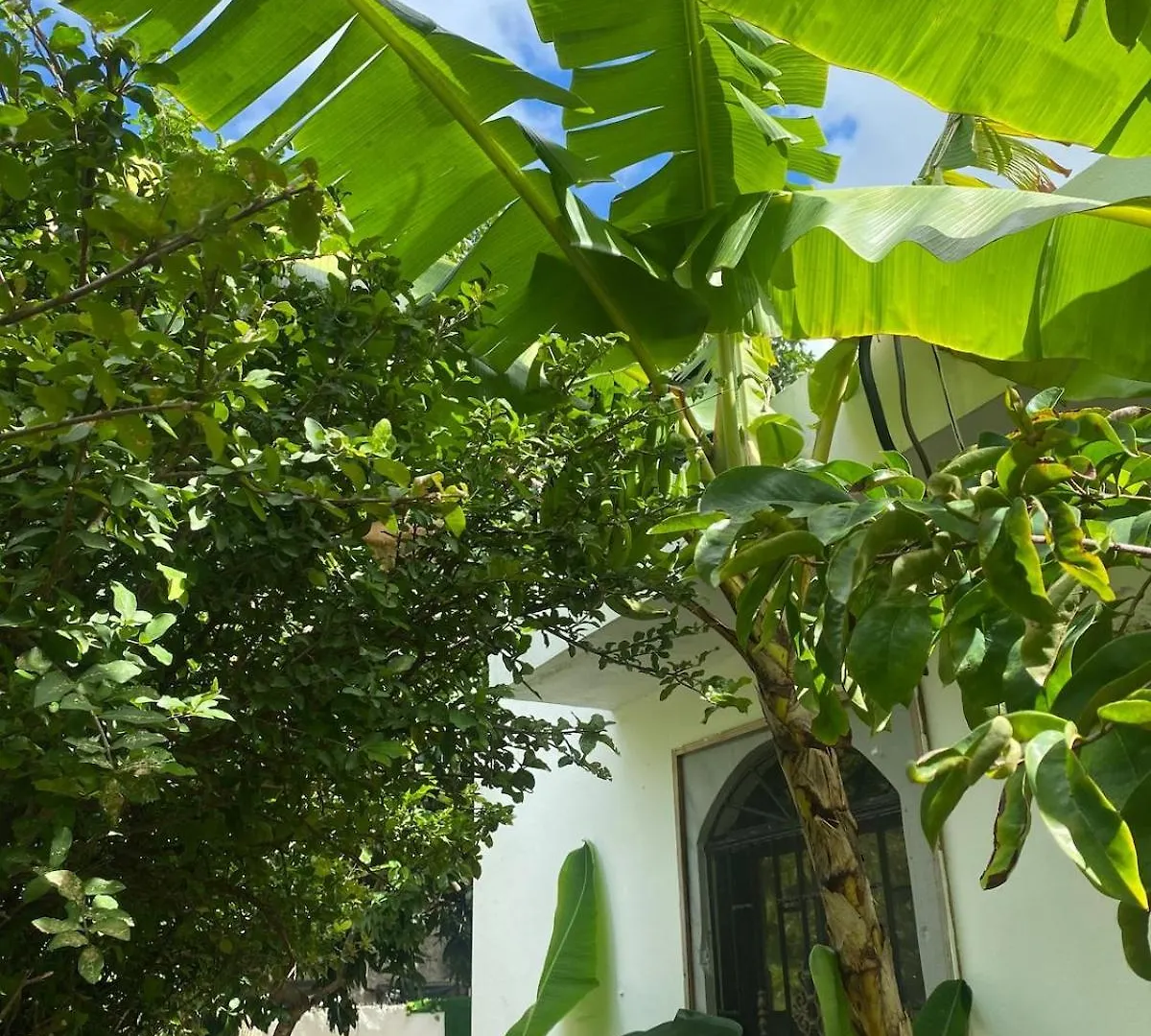 Villa Dmm Con Piscina, Jacuzzi Y Gran Area Verde En Punta Cana