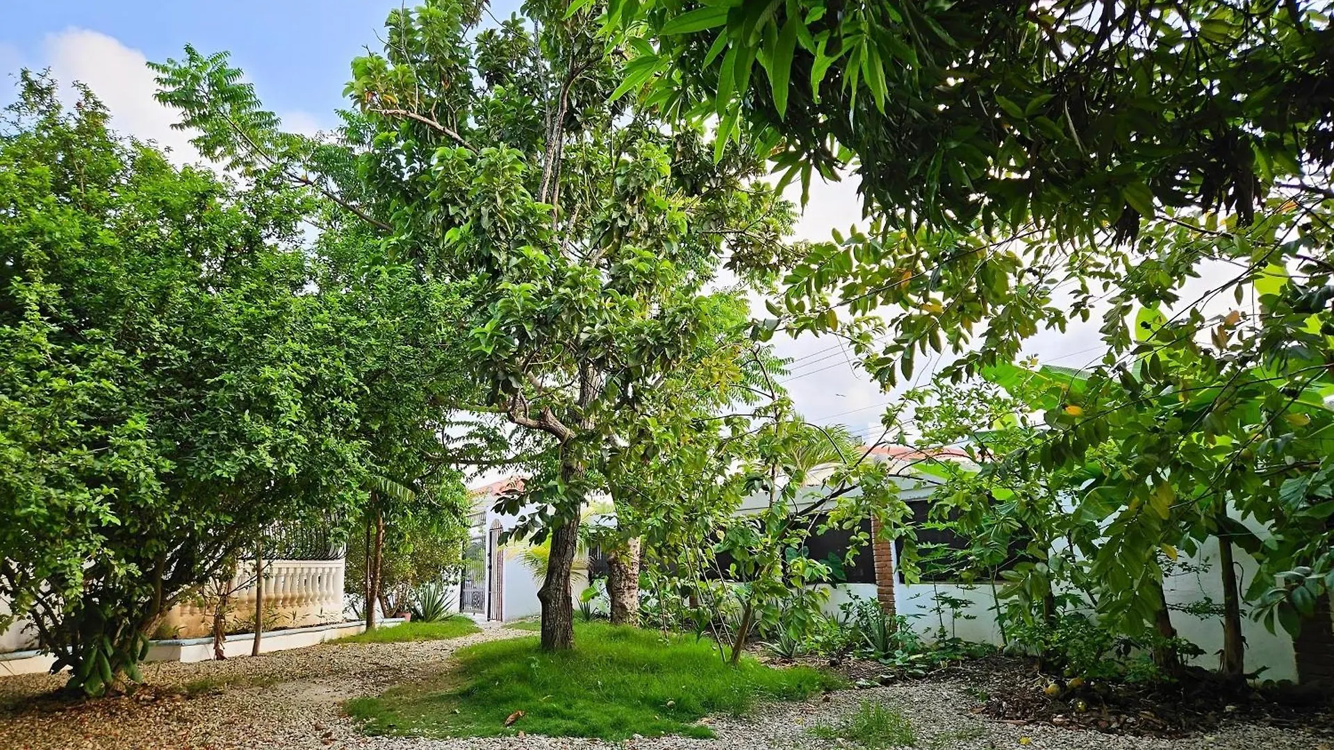 Villa Dmm Con Piscina, Jacuzzi Y Gran Area Verde En Punta Cana