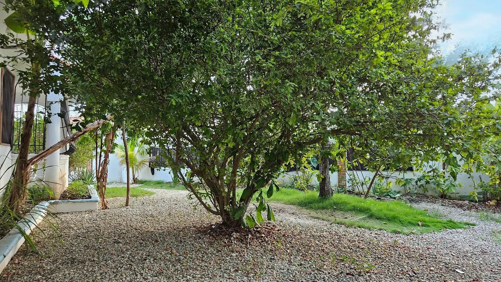 Villa Dmm Con Piscina, Jacuzzi Y Gran Area Verde En Punta Cana Dominican Republic
